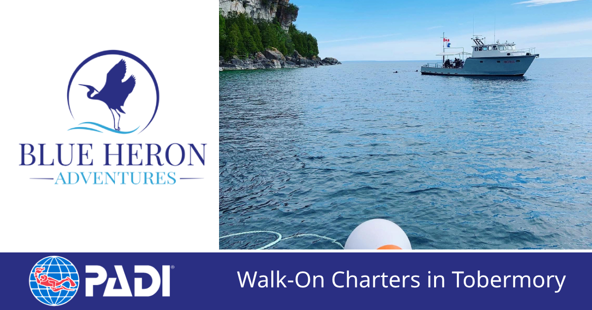 adventuretobermory.com